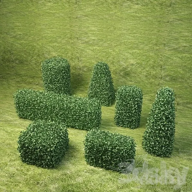 Bushes the second pack 3D Model