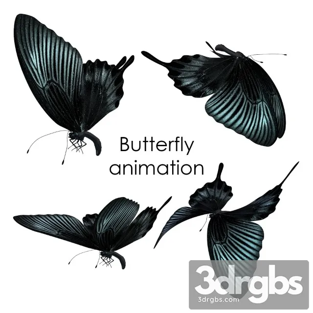 Butterfly Animation 3D Model Free