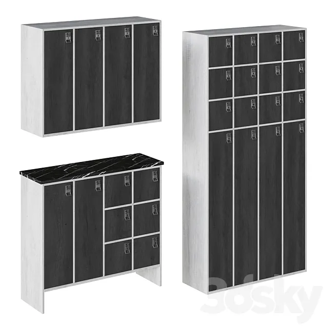 Cabs with combination locks 3D Model