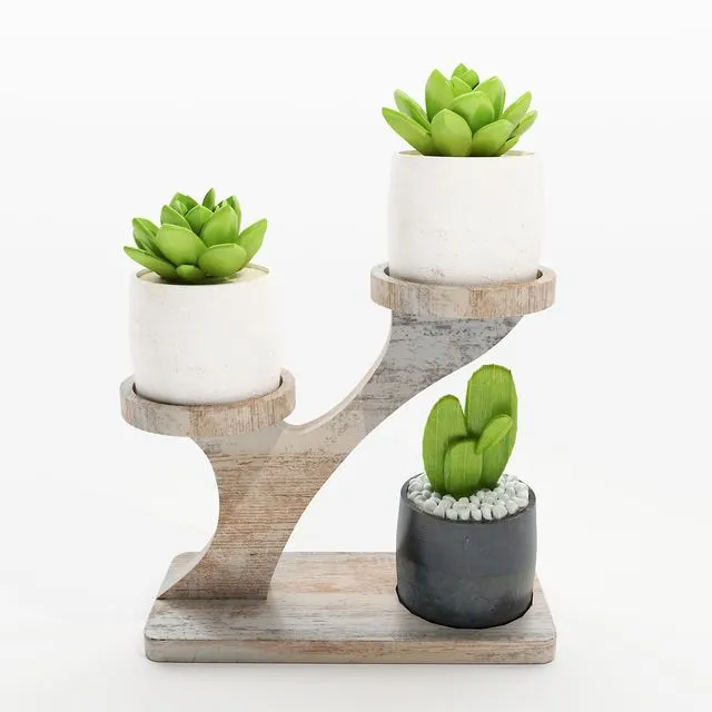 Cactus on the stand 3D Model