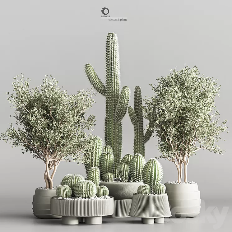 Cactus & plant vol 01 3D Model Free