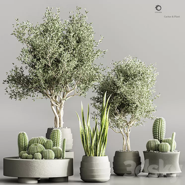 Cactus & plant vol 02 3D Model Free
