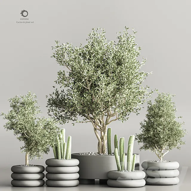 cactus & plant vol 06 3D Model