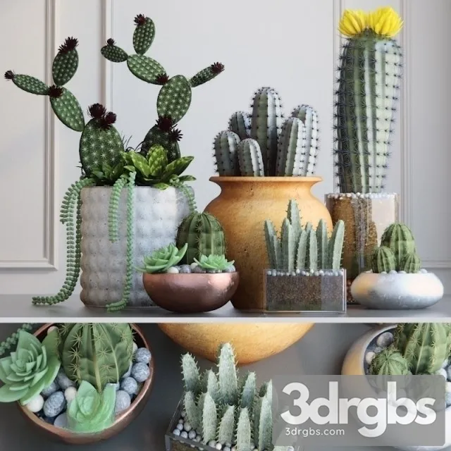 Cactus Pots Set 3D Model Free