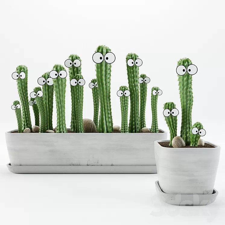 Cactus with eyes 3D Model