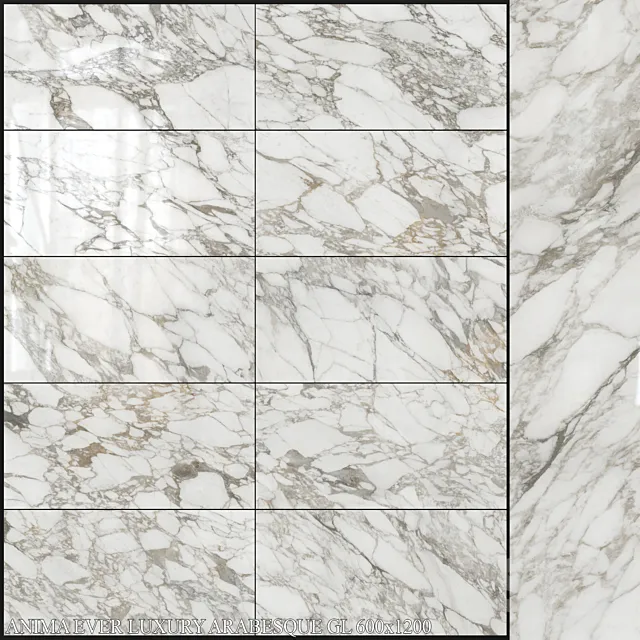 Caesar Anima Ever Luxury Arabesque GL 600x1200 3D Model