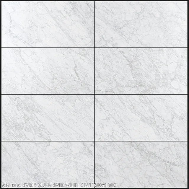 Caesar Anima Ever Supreme White MT 600x1200 3D Model