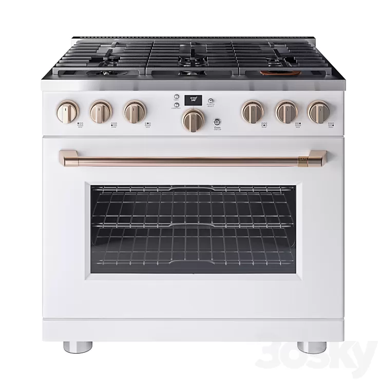 Cafe 36 Smart All-Gas Commercial-Style Range with 6 Burners 3D Model Free