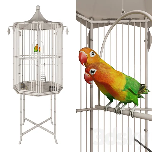 Cage with lovebirds 3D Model