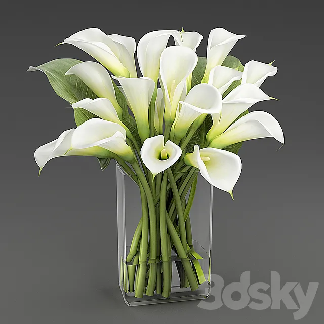 Calla 1 3D Model
