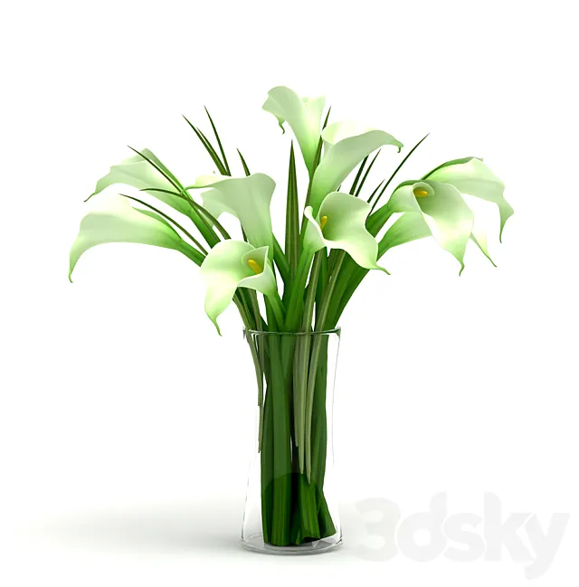 Calla 3DModel