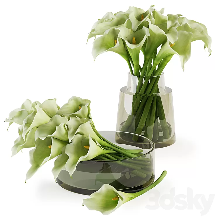 Calla lilies bouquets 3D Model Free