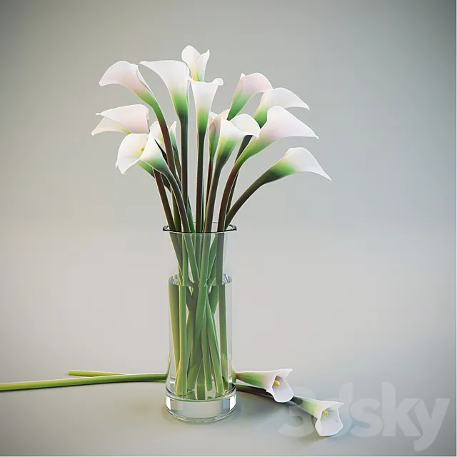 Calla Lilies in a vase 3D Model