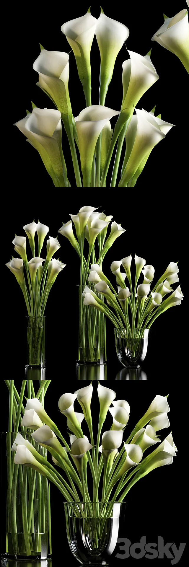 CALLA LILLY 3DModel