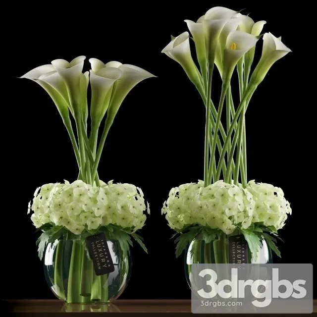 Calla Lilly 4 3D Model Free