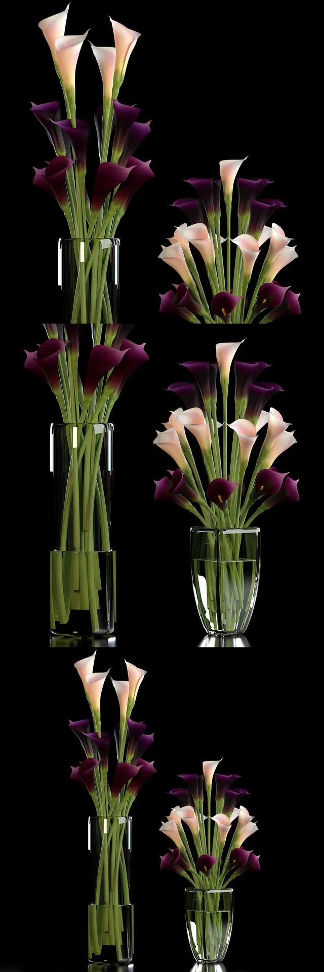 CALLA LILLY PURPLE 3D Model