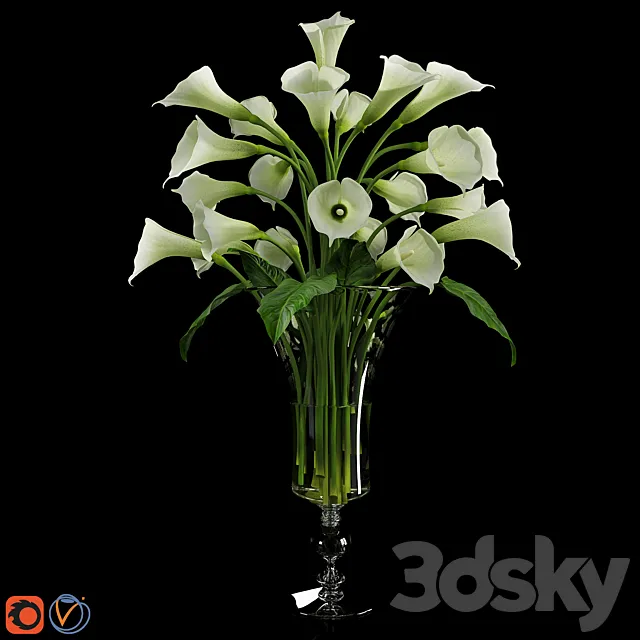 Calla Lily 3 3D Model