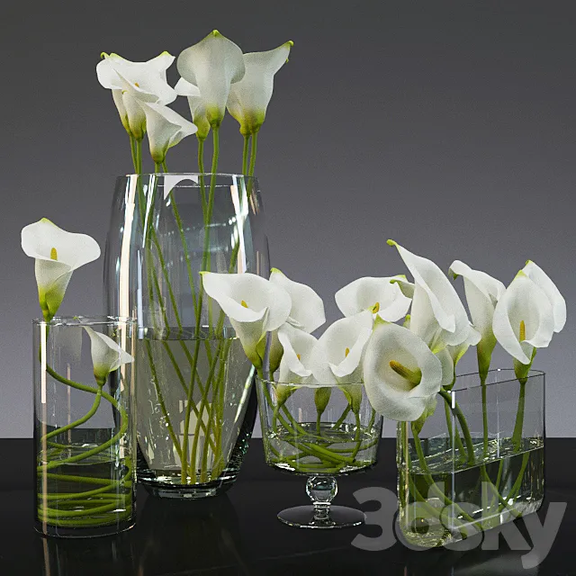Calla lily 3D Model