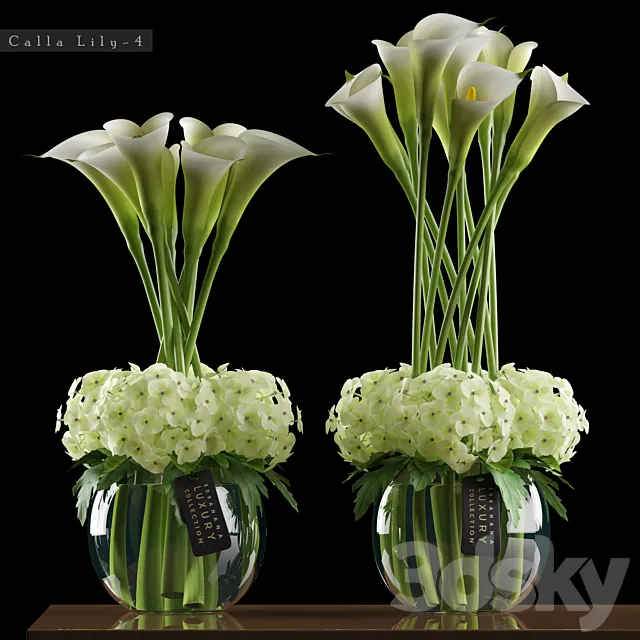 CALLA LILY 3DModel
