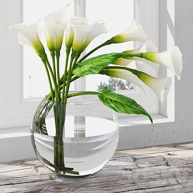 Calla Lily 7 3D Model