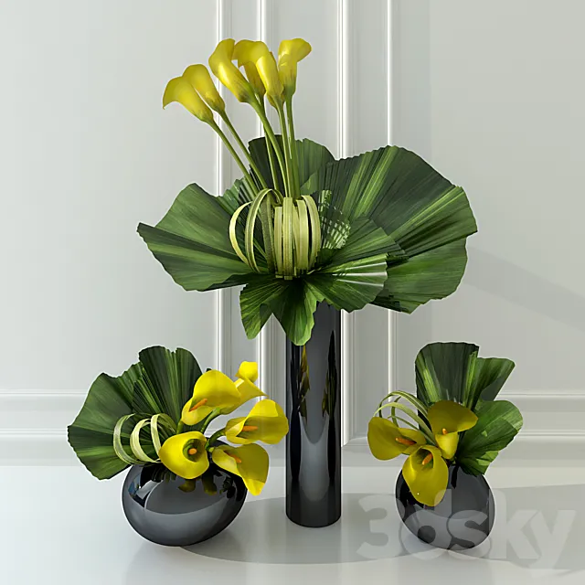 Calla lily yellow 3D Model