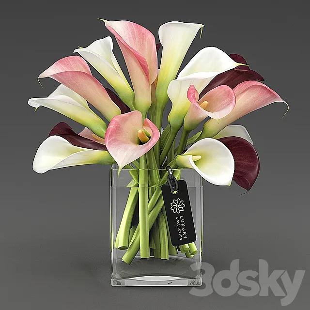 Calla_04_1 3D Model