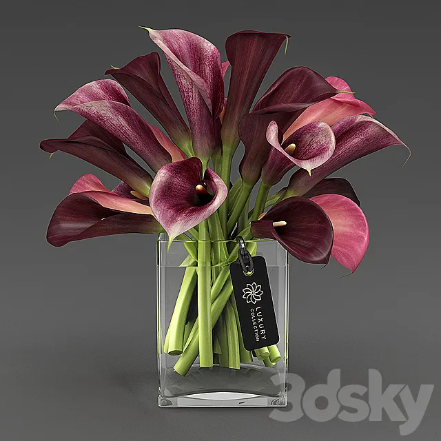 Calla_04_4 3D Model