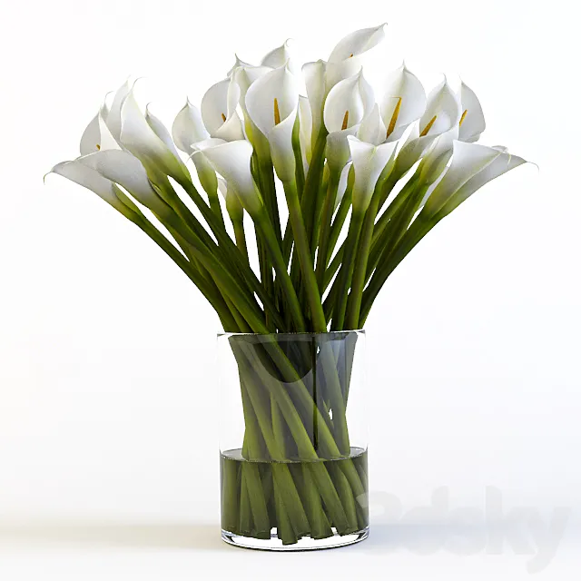 Callas 3D Model
