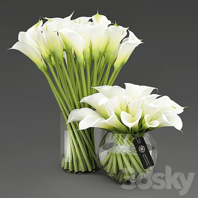 Callas_3 3D Model