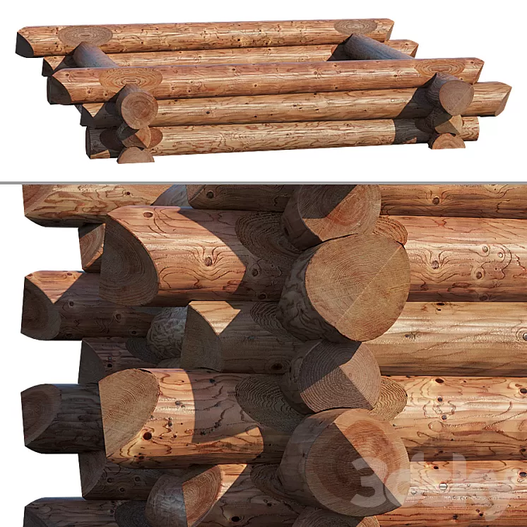 Canadian cabin 2 3D Model