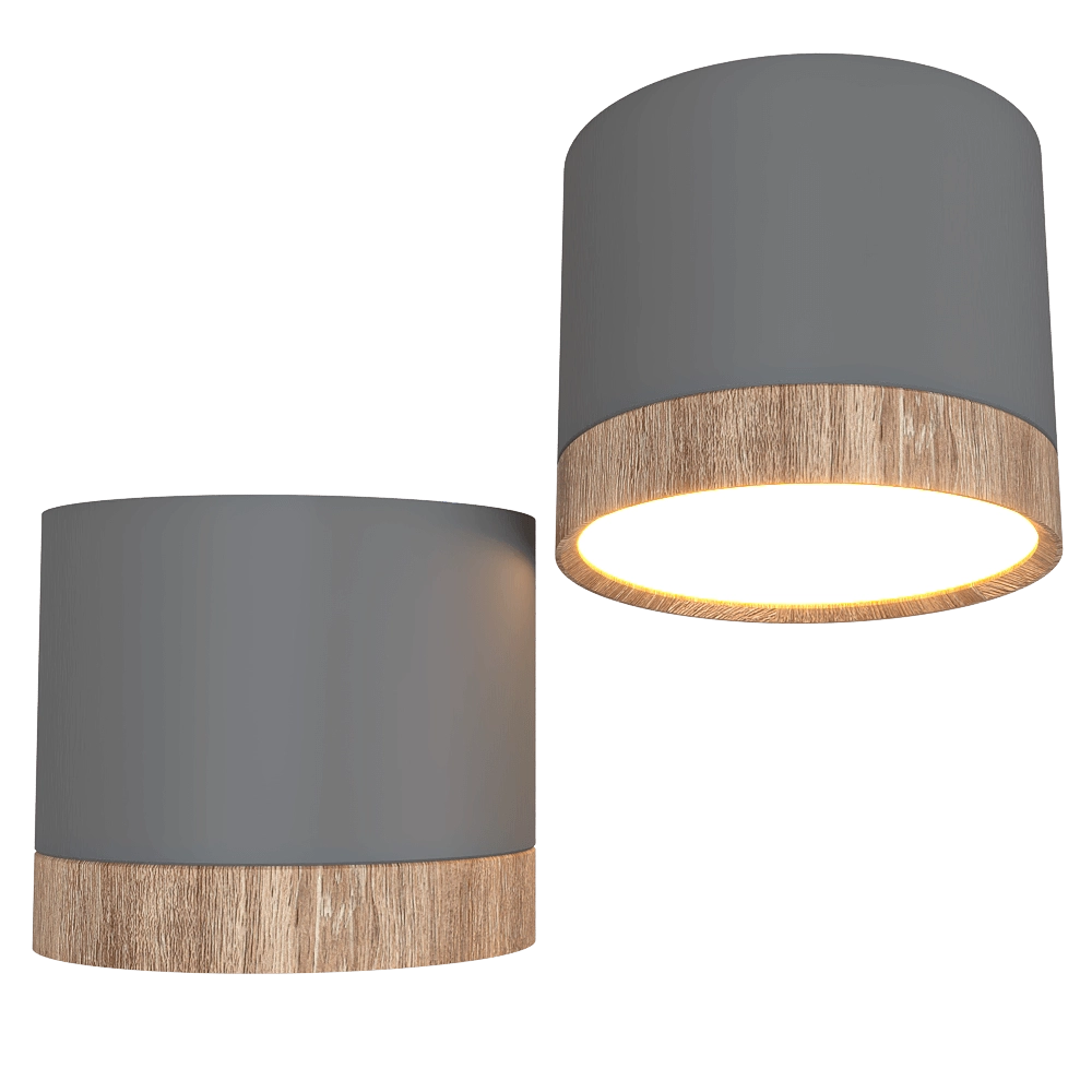 Candellux Lighting - Ceiling lamp Тube gray 3D Model