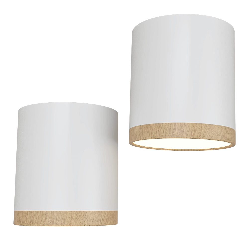 Candellux Lighting - Ceiling lamp whit ewooden 3D Model