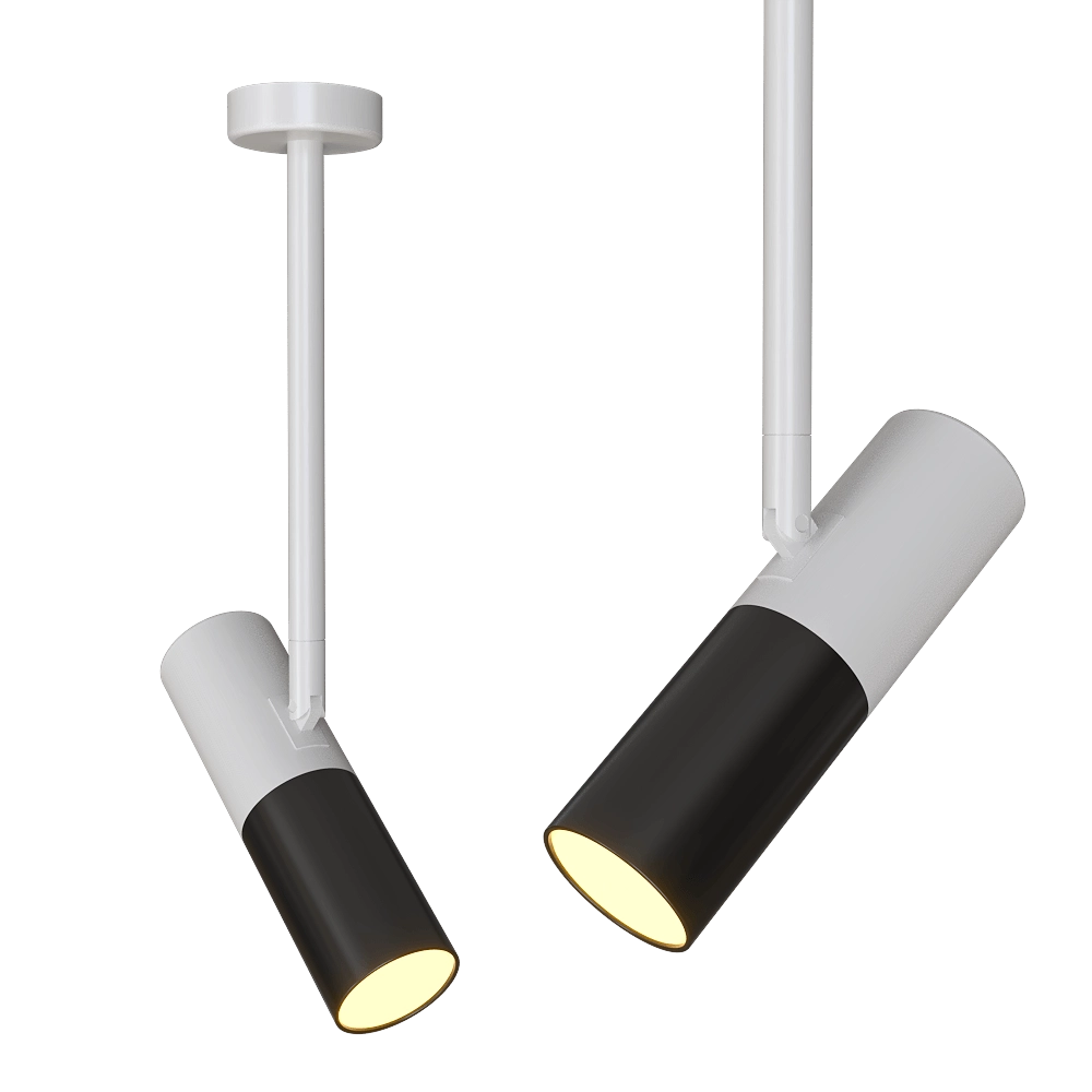 Candellux Lighting - Ceiling light Adjustable white and black tube 31-77912 3D Model