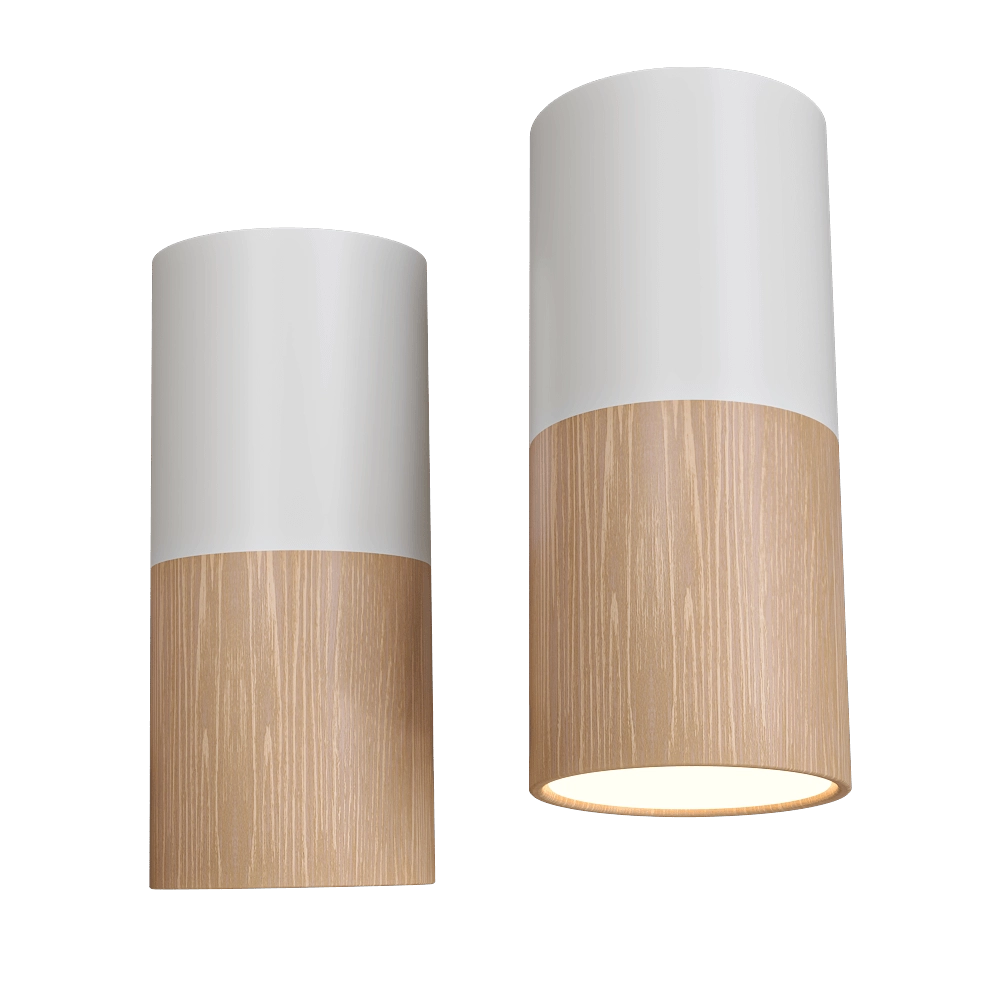 Candellux Lighting - Spot light BiałaWooden GU10 25W TUBA CANDELLUX 2273655 3D Model