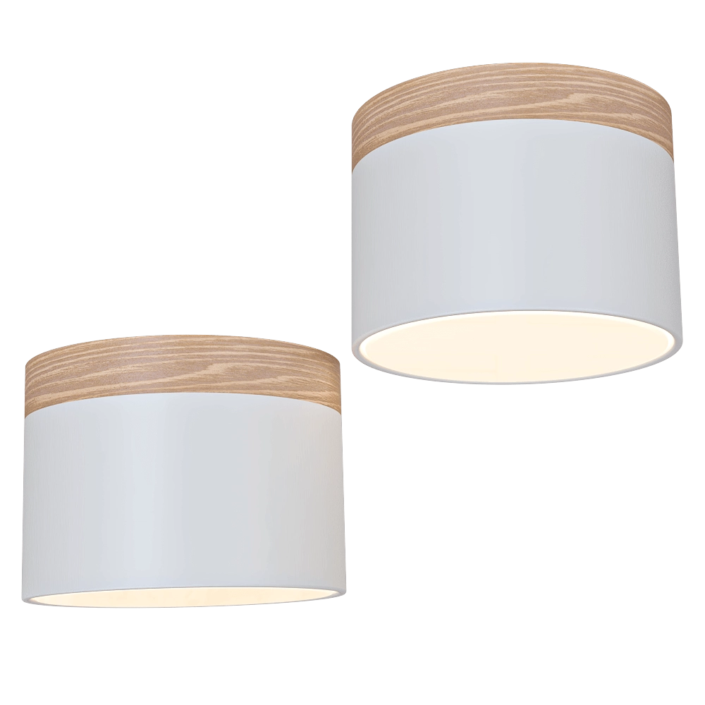 Candellux Lighting - Spot light BiałaWooden LED 9W Tuba Candellux 2273648 3D Model