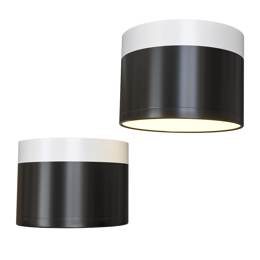 Candellux Lighting - Spot light black and white 2273716 3D Model