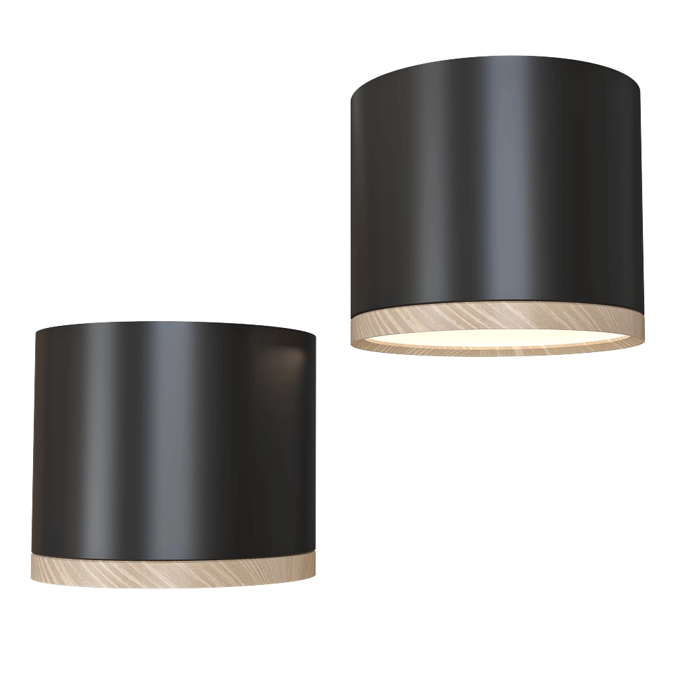 Candellux Lighting - Spot light  Black and wooden 2275949 3D Model