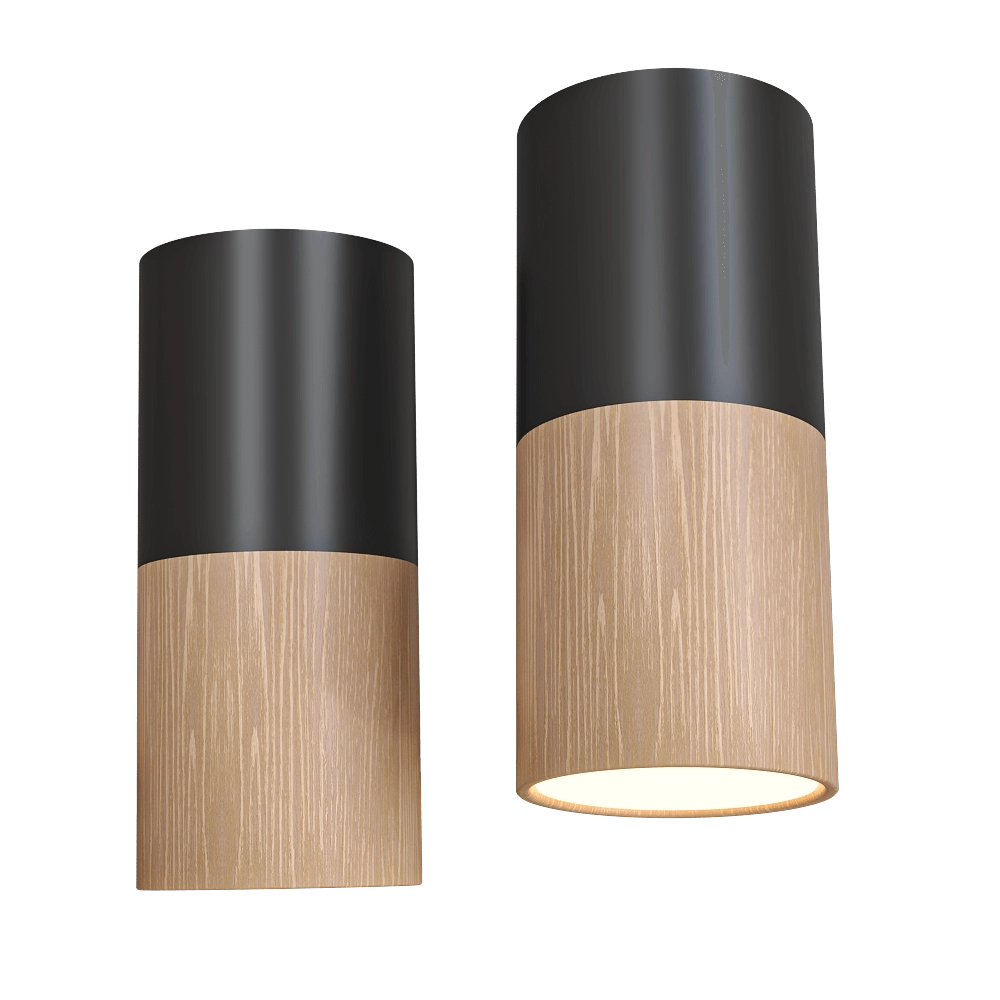 Candellux Lighting - Spot light black and wooden metal 2282862 3D Model