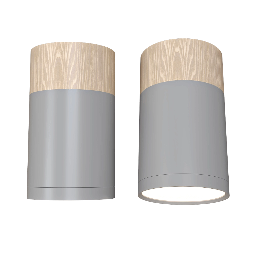 Candellux Lighting - Spot light Gray and wooden  2284279 3D Model