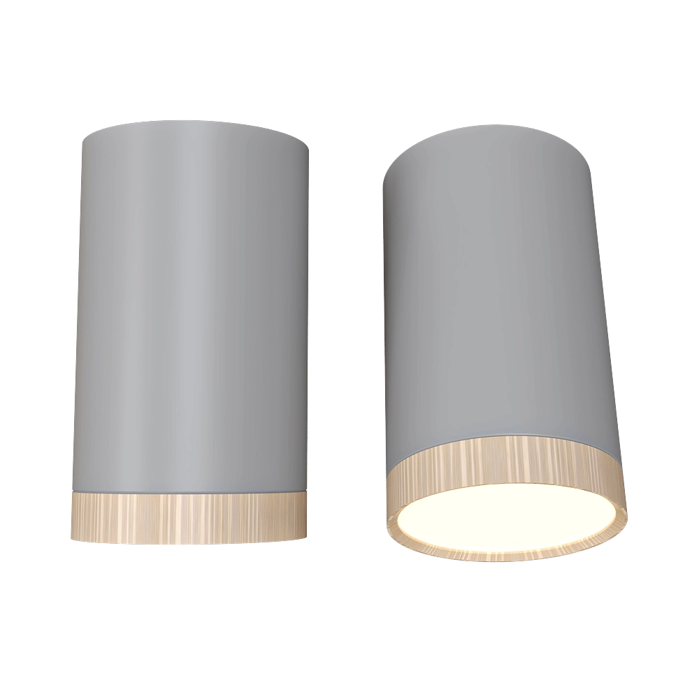 Candellux Lighting - Spot light  Gray and wooden Tuba Candellux 2282879 3D Model