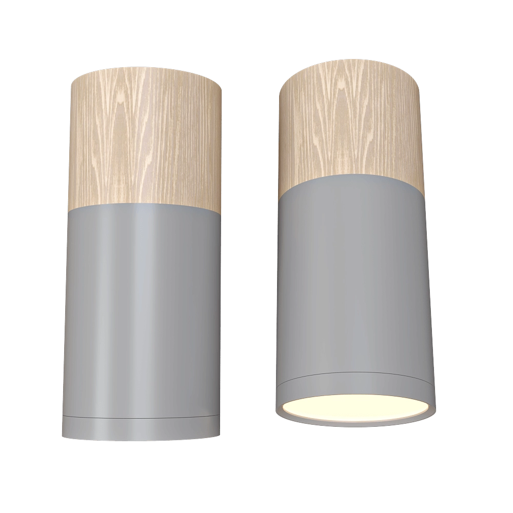 Candellux Lighting - Spot light  Gray and wooden Tuba Candellux 2284286 3D Model