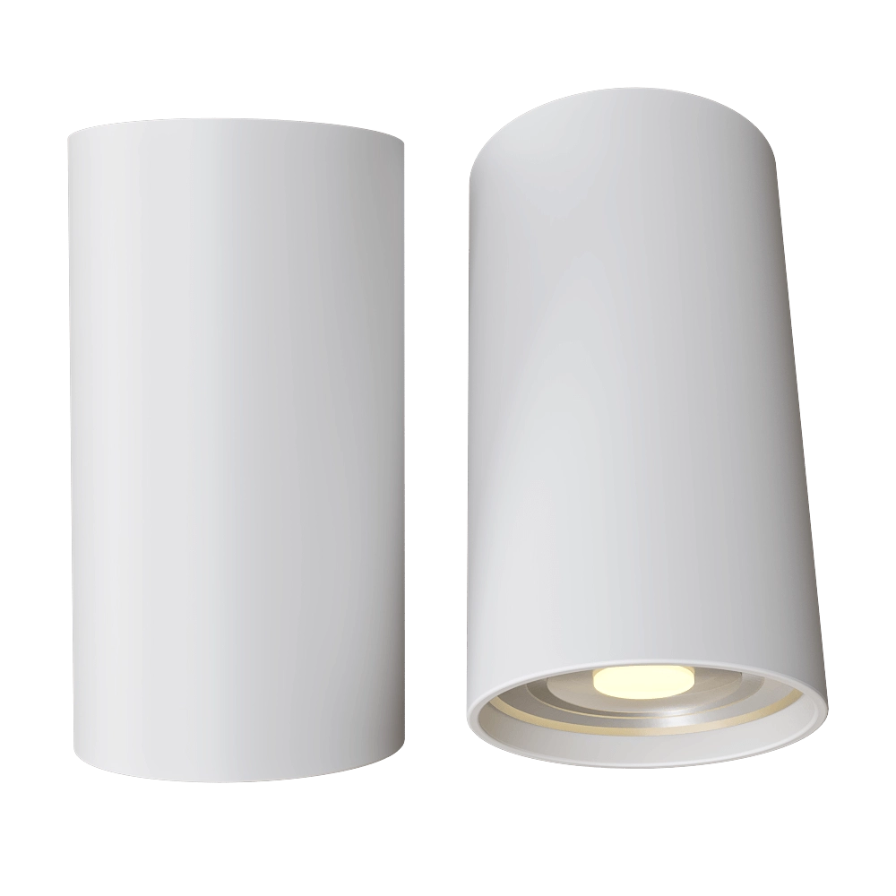 Candellux Lighting - Spot light white fixture 2284385 3D Model