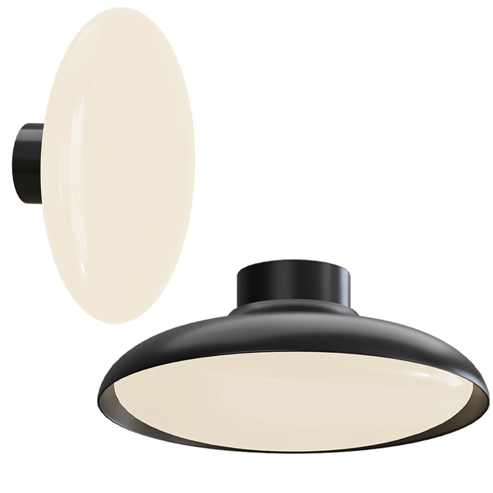Cangini & Tucci - Wall/Ceiling lamp Fiji XXL1482/86.1L 3D Model