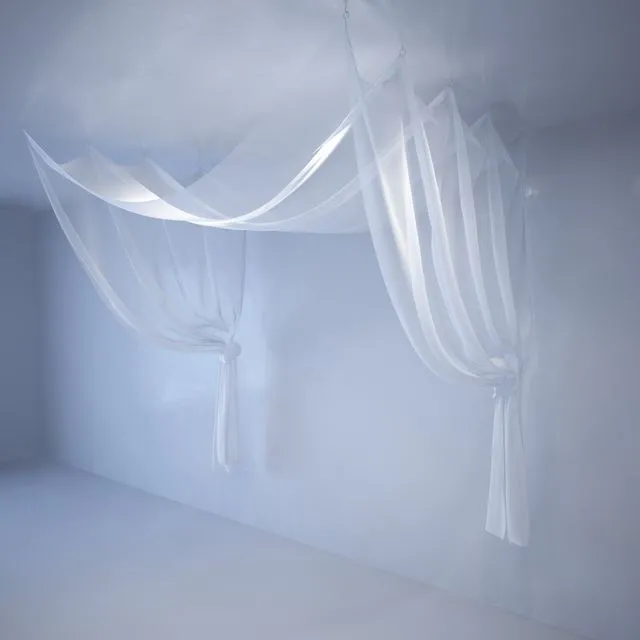 Canopy 3D Model