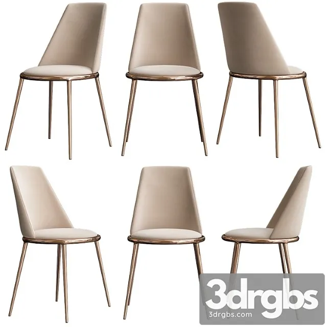 Cantori aurora 2 3D Model Free