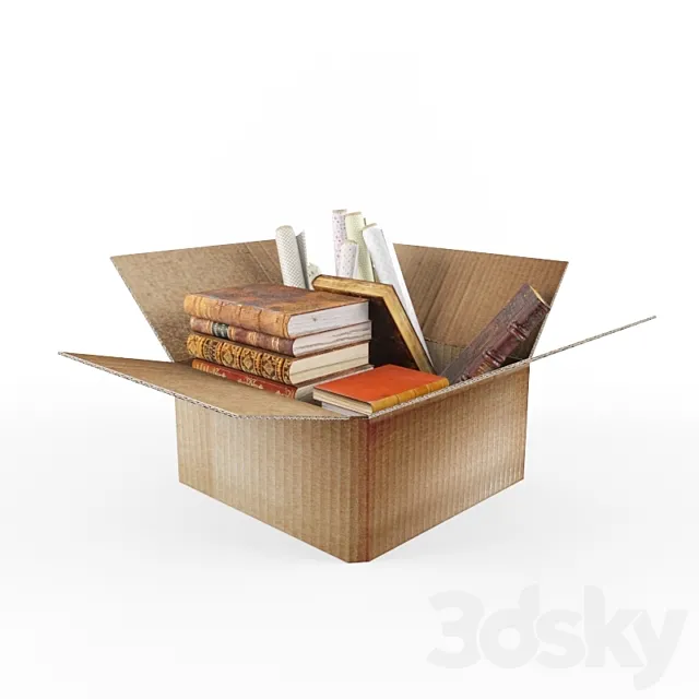 Cardboard Box 3DModel