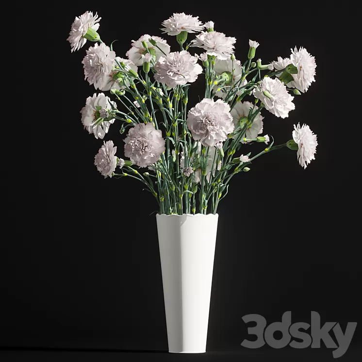 Carnation 2 3D Model
