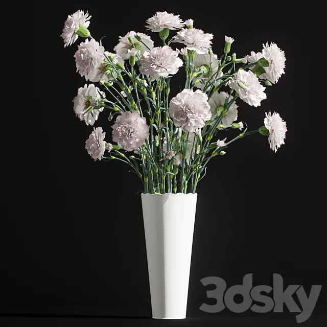 Carnation 2 3DModel