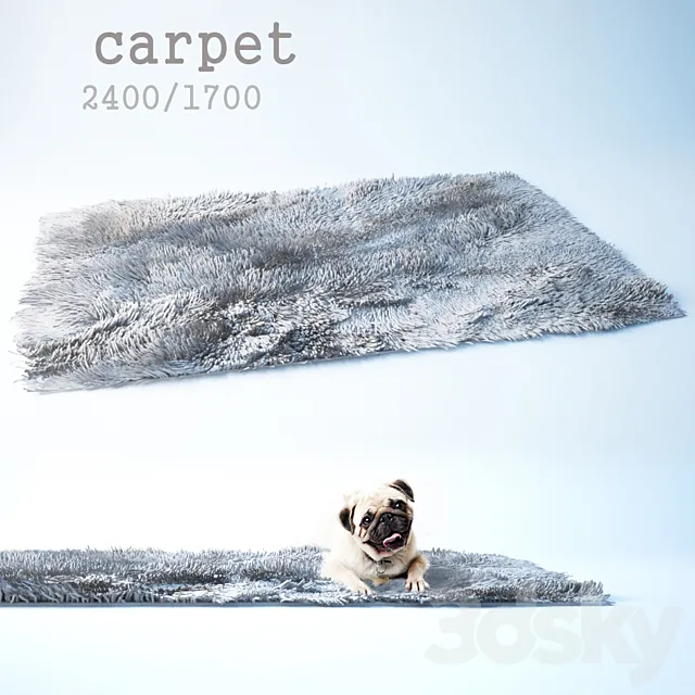 Carpet 3D Model