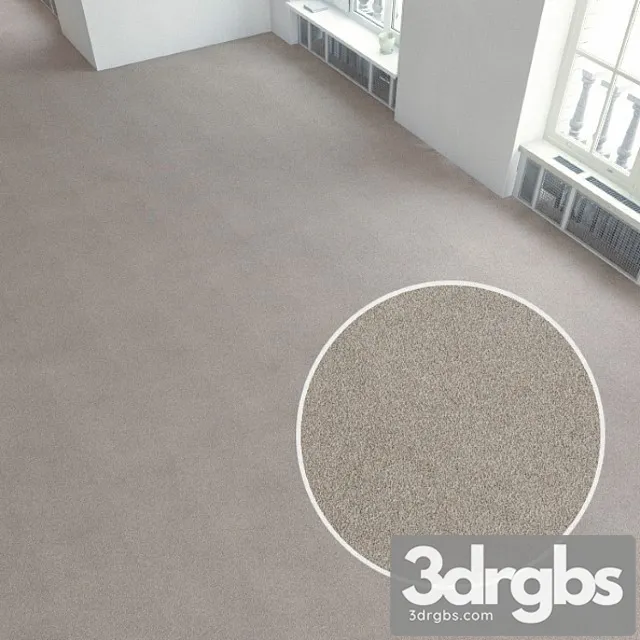 Carpet covering 122 3D Model Free
